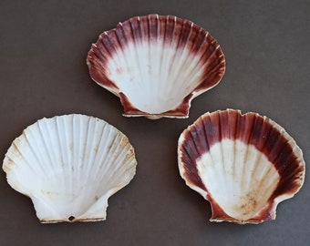 il_340x270.4549424817_gsvf.jpg
