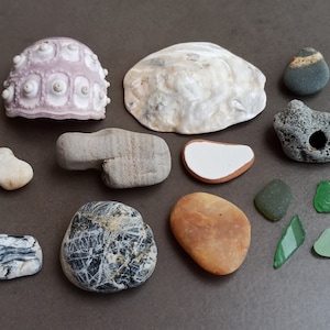 Chicken God Stone, Coral, Sea Beach Stones, Beach Stones, Treasure Rock, Mediterranean Pebbles Rocks, Small Beach Pebbles, Pebbles Art Set