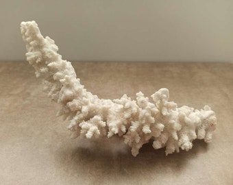 Large White Coral Tree, Natural Coral Reef Decor