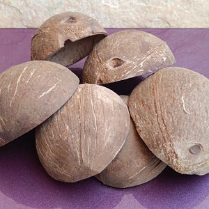 Set Of 6 Coconut Shell Half, Coco Shell, Coco Decoration, Coco Decor, Coconut Shell, Hone Decoration