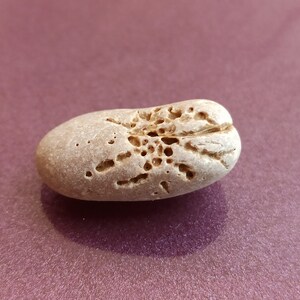 Rare Spider Stone, Wishing Stone, Irish Hag Stone, Bladder Stones ...