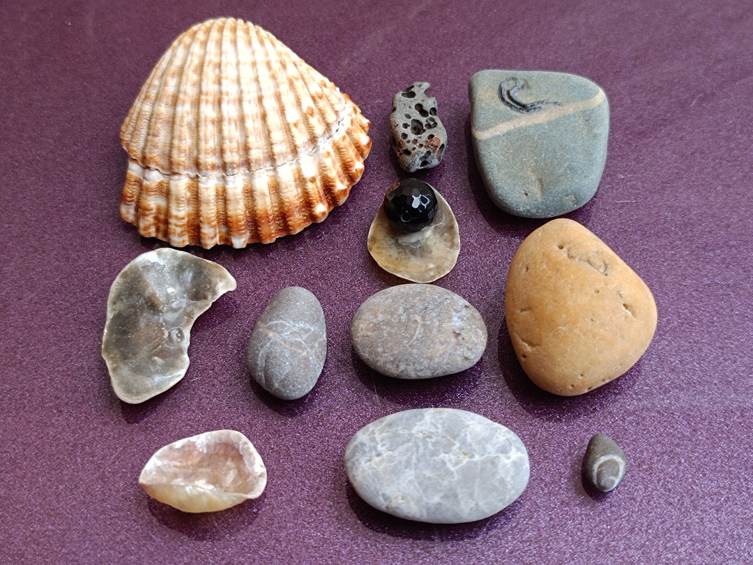 Stone Shell Design Beach Stones & Shells Set: Mediterranean Art Pebbles - Etsy