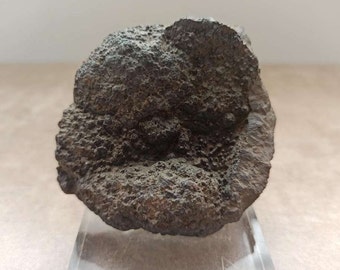 Cristal de galena en bruto raro con soporte, piedra de colección mineral negra