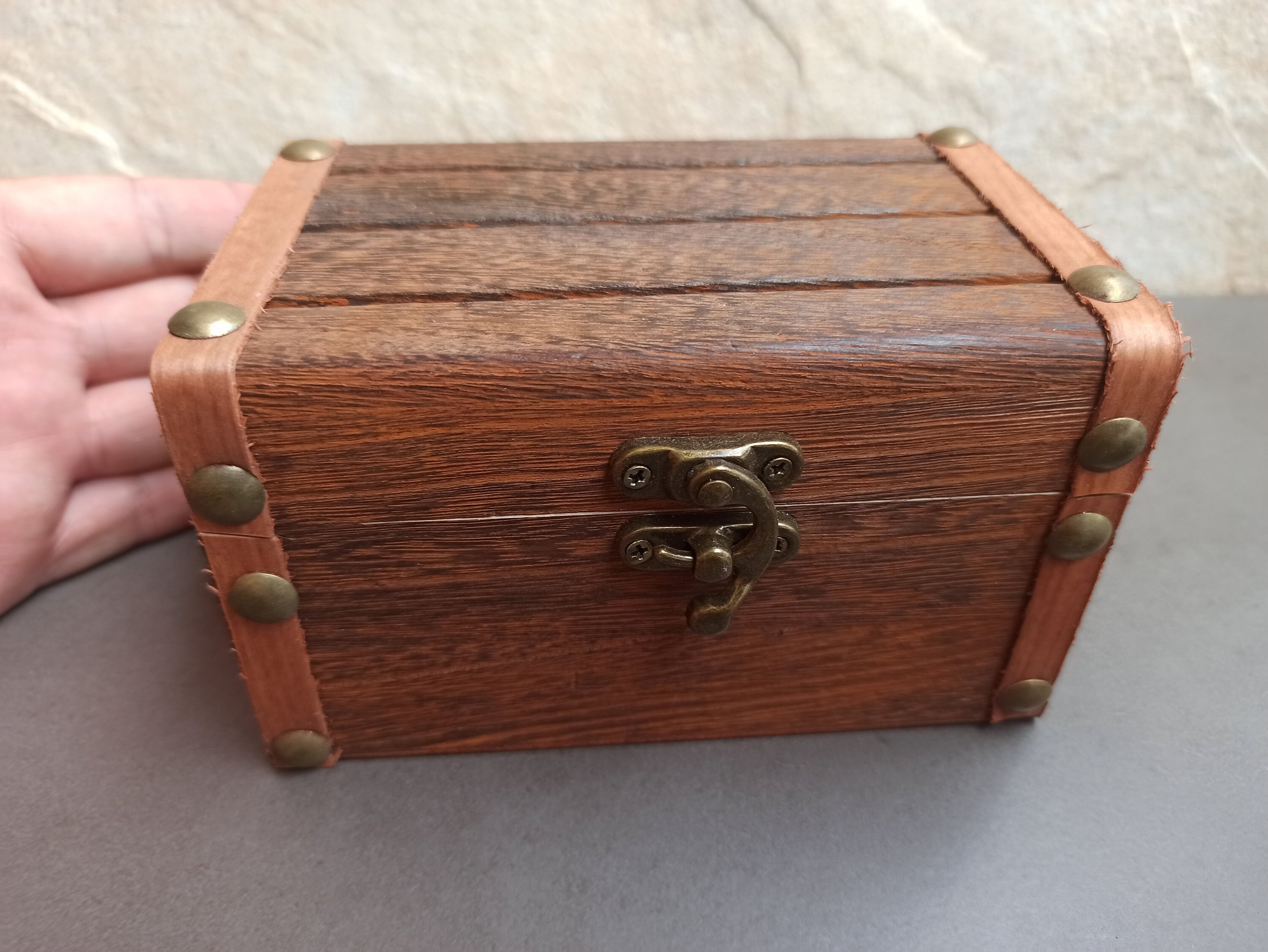 Seashell Collection in Wooden Box: Natural Ocean Shells, Beach