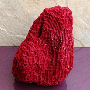 May include: A bright red coral specimen with a textured, net-like surface. The coral is shaped like a small mountain.