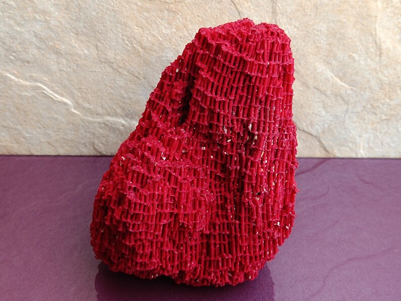 May include: A bright red coral specimen with a textured, net-like surface. The coral is shaped like a small mountain.