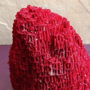 May include: A bright red coral specimen with a unique, textured, and layered structure. The coral is shaped like a small mountain.