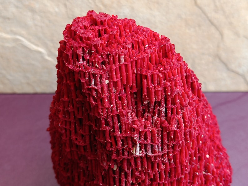 May include: A bright red coral specimen with a unique, textured, and layered structure. The coral is shaped like a small mountain.