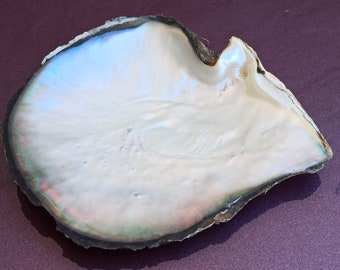 【数量限定】 il_340x270.4895790889_k6mm.jpg アクセサリー