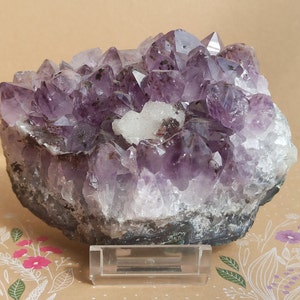 Amethyst Cluster Crystal, Raw Stone 476g, Purple Metaphysical Amethyst, Amethyst Mineral, Rose Amethyst, Brazil Amethyst, Druse Amethyst