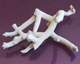 Small Natural White Coral Tree: Coastal Reef Decor