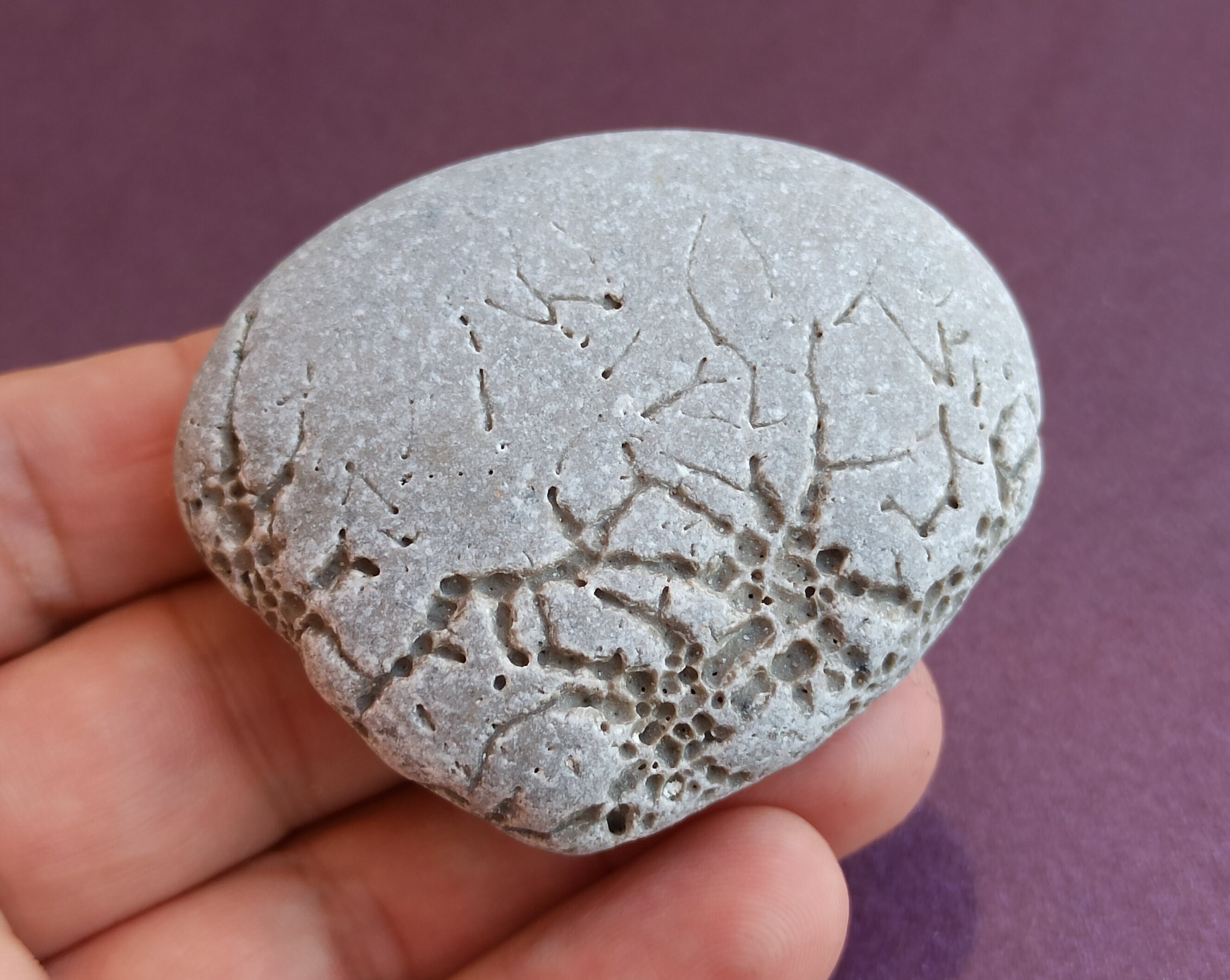 Natural Pattern Stone: Anti-Stress Amulet, Chicken God Stone