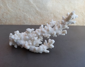 Natural White Coral Reef, Large Coral Tree Decoration