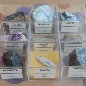 May include: Nine clear plastic boxes each containing a different type of mineral specimen. The boxes are labeled with the mineral name and origin. The minerals include: Azufre, Cromita, Celestina, Colemanita, Amatisa, Cuarzo Rosa, Magnetita, Cianita, and Bar.