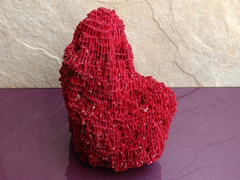 May include: A large, bright red coral specimen with a unique, intricate, and textured surface. The coral is shaped like a heart and has a rough, porous texture.