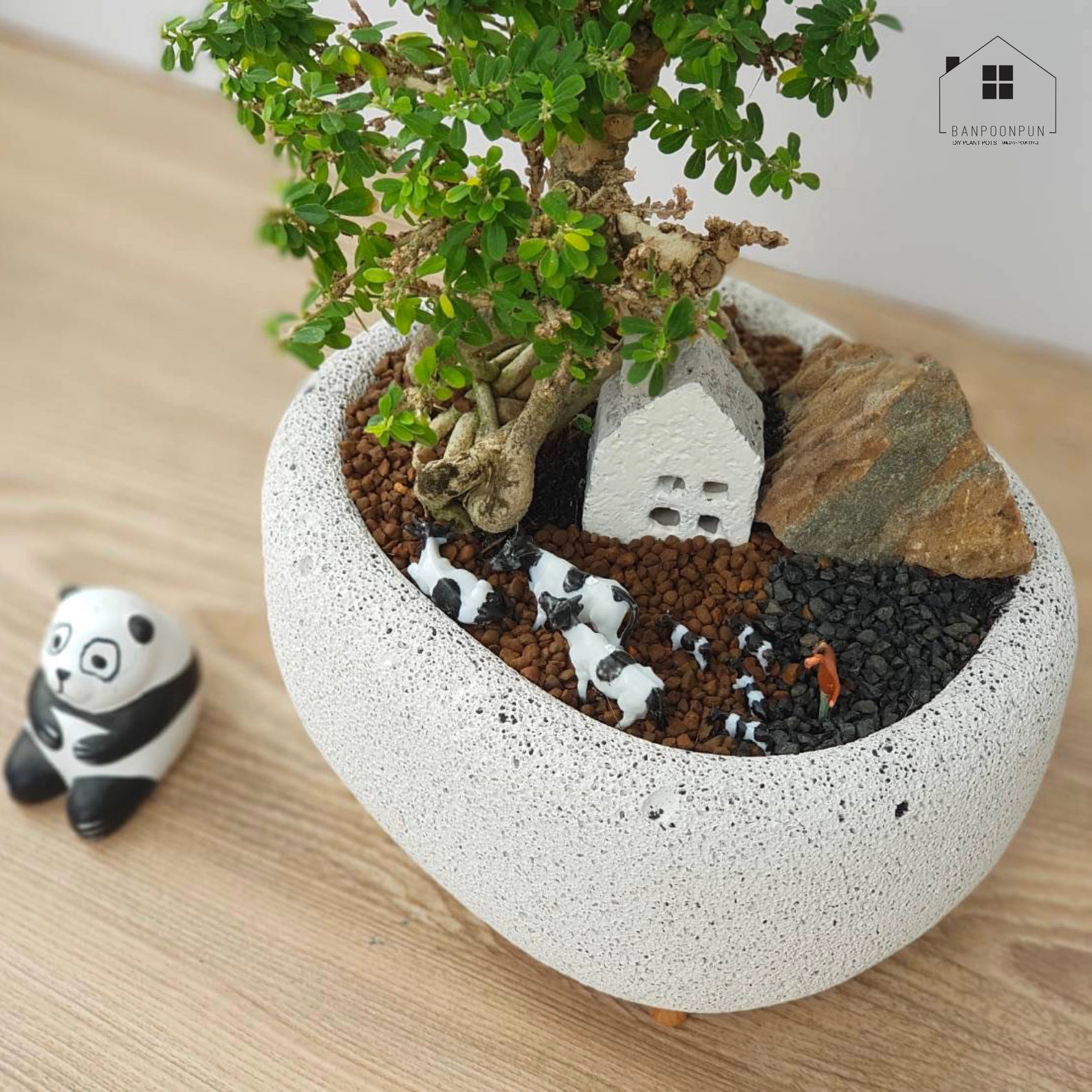 5.5 DIY Lightweight Concrete Pot / Minimalist Planter/ Etsy