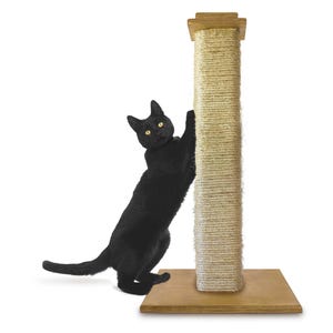 May include: A tall, vertical cat scratching post featuring a square wooden base and a matching wooden top cap. The central column is wrapped in thick, light beige sisal rope, providing a textured surface for scratching. A solid black cat is present.