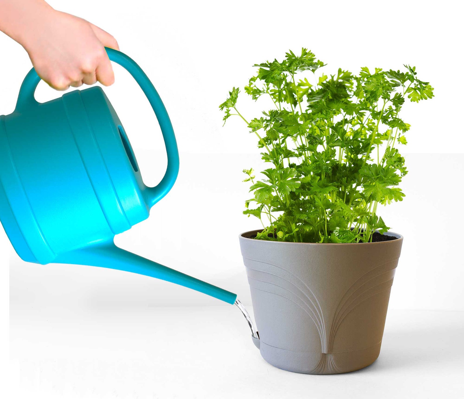 Plant Pot Water Reservoir With Easy Fill Quickview Lip in Art Etsy