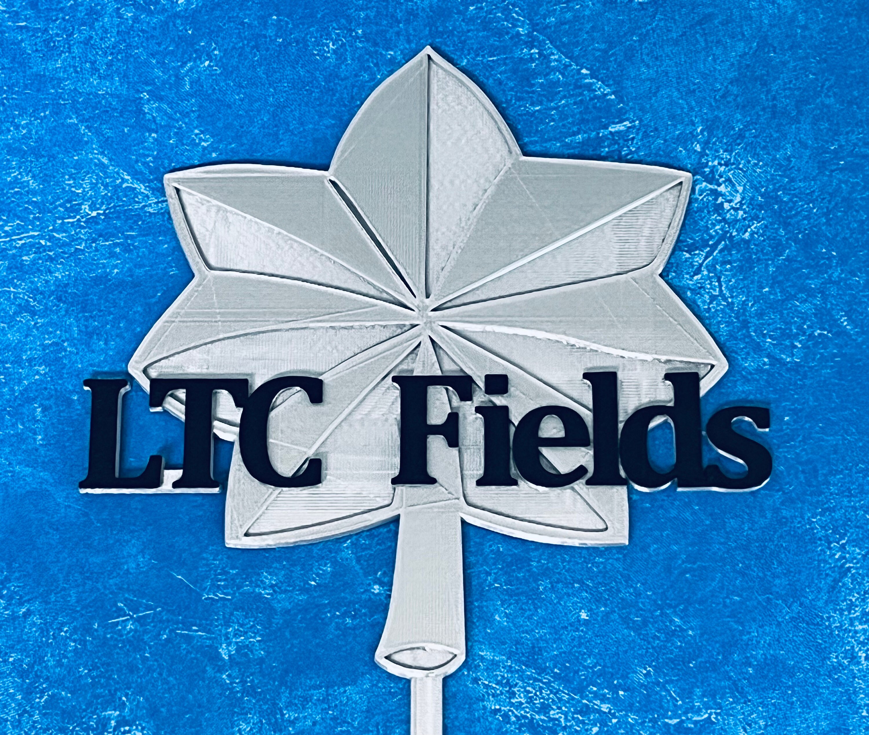 Lt Col/ltc Silver Oak Leaf Cake and Cupcake (1 Doz) Topper Combo - Etsy  Israel