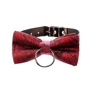 cc collar in black patent leather with bow tie and optional O-ring