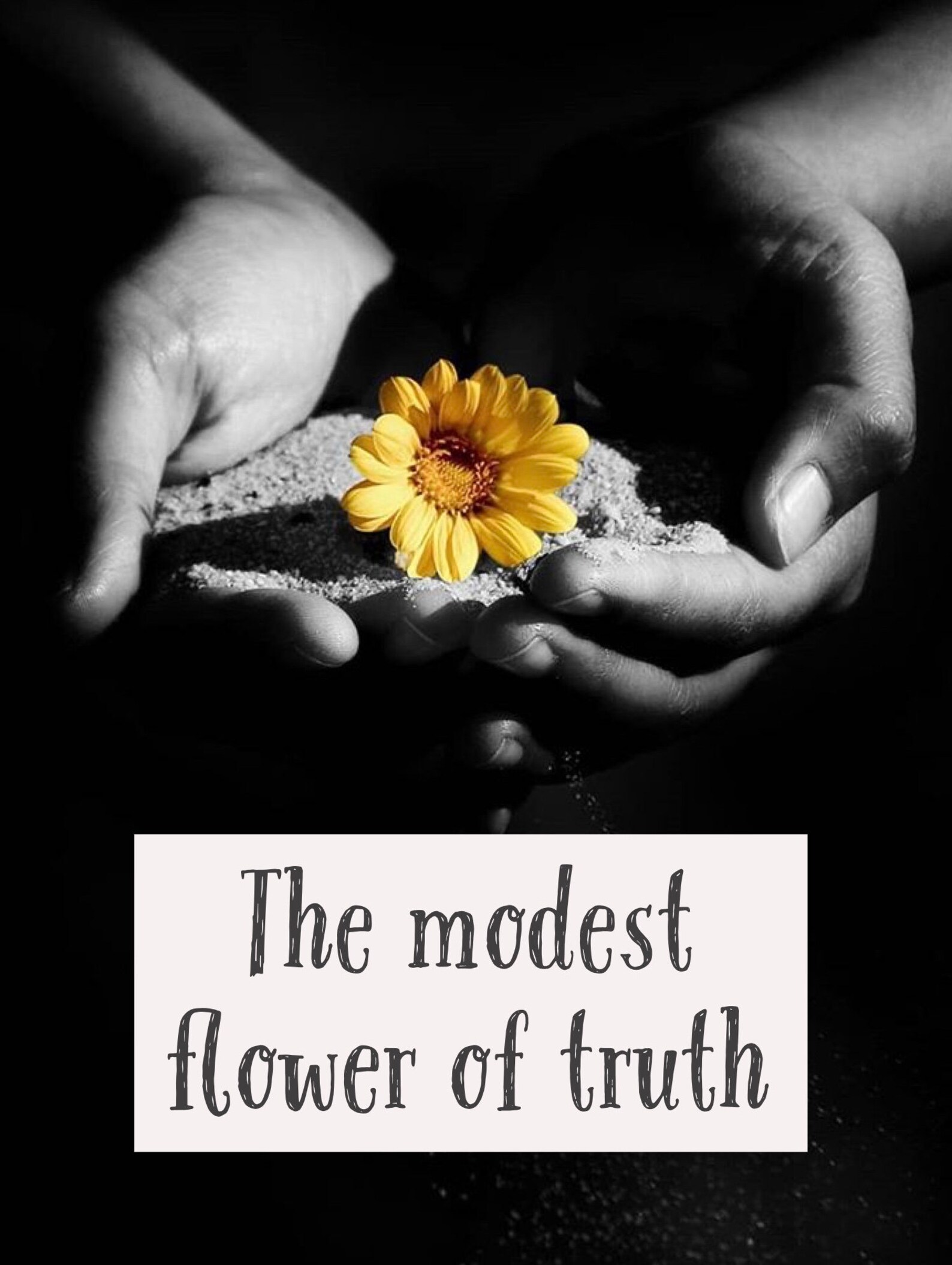 Postcard The Modest Flower of Truth Etsy