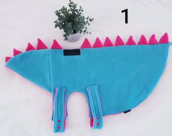 dinosaur costume for pig