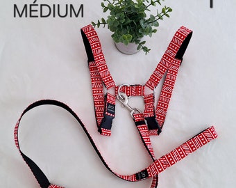 Harness for medium-sized micro-pigs