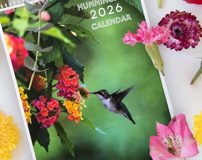 2026 Wall Calendar, Brightly Colored Hummingbirds, Portrait Hanging Calendar, Vibrant Colored Hummingbirds, Portrait Calendar.