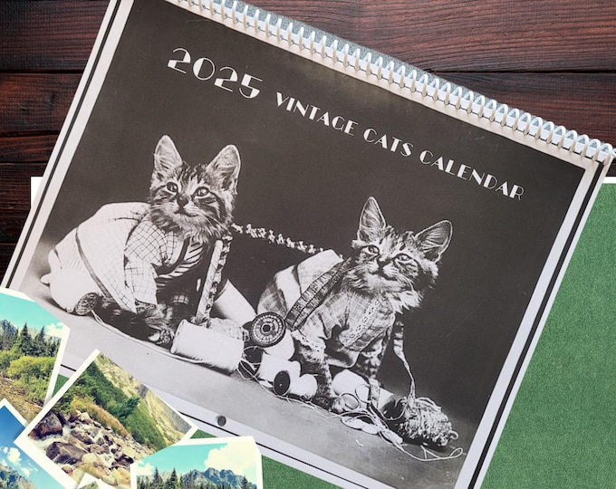 2025 Wall Calendar, Vintage Cat Photos, Interesting Cat Calendar, 11x17 Calendar, Black and White Vintage Photos of Cats, Jan 2025-Feb 2026