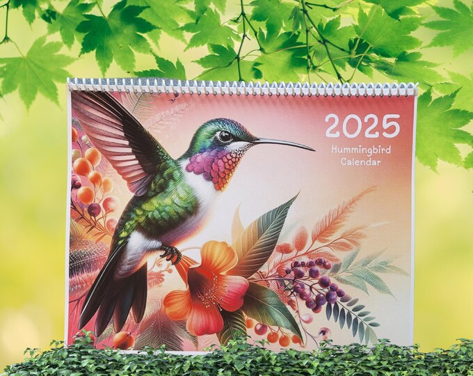 2025 Wall Calendar, Brightly Colored Hummingbirds, Hanging Calendar 11x17, Vibrant Colored Hummingbirds, Jan 2025 - Feb 2026