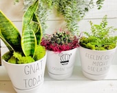 Funny 6 in Planters, Plant Mom Gift, Punny Plant Pots, Looking Sharp, Gnat Today, Feeling Cute Might Die Later, Ceramic Pot with Vinyl