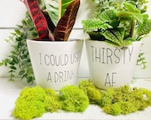 Funny Plant Pots, succulent plant container, thirsty AF, I could use a drink, plant mom gift, 4 inch white ceramic pot w drainage, gag gift