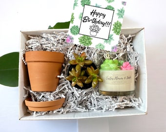 Birthday Gift Box for Plant Friend, succulent plant, Birthday Package for Daughter, 30th Birthday Gift Set, succulent candle,