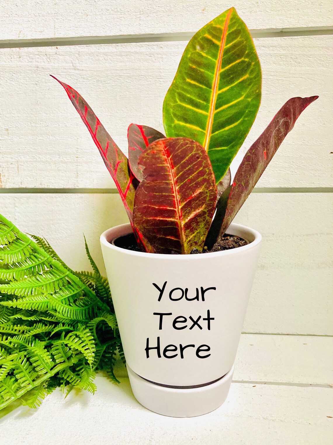 Custom text plant pot indoor garden personalized planter Etsy