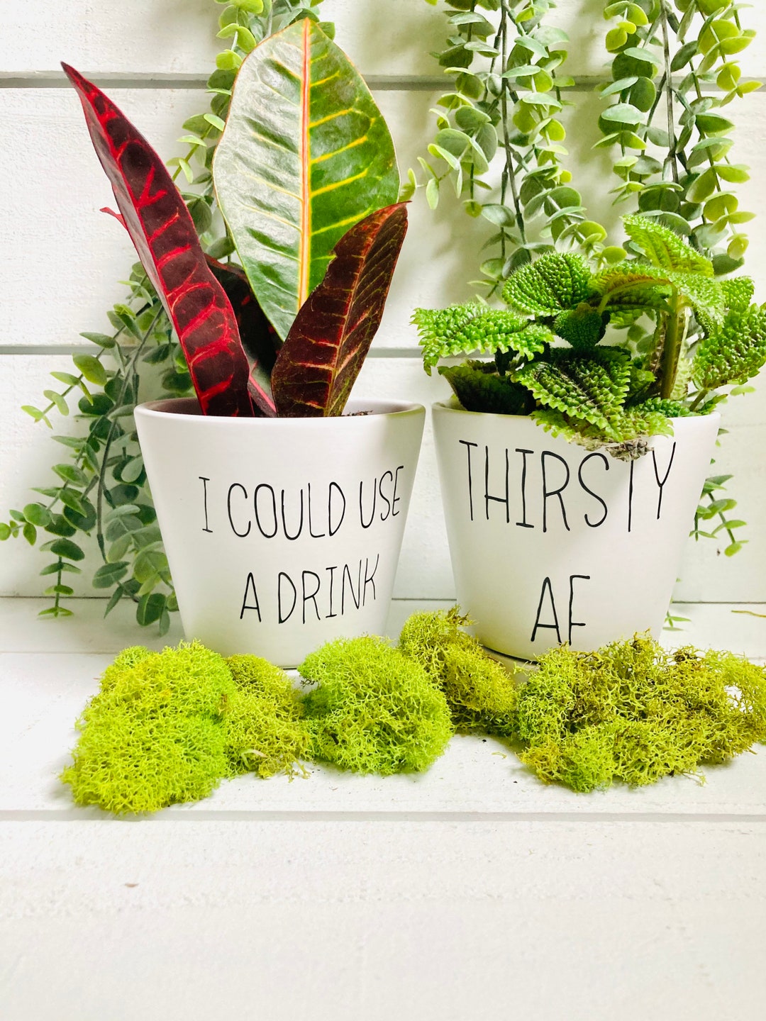 Funny Plant Pots, Succulent Plant Container, Thirsty AF, I Could Use a