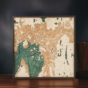 OSLO 3D-wandkaart met de hand gemaakt van natuurlijk hout. 35x35cm.