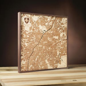 BRUSSELS 3D-muurkaart handgemaakt van natuurlijk hout. 76x76cm.