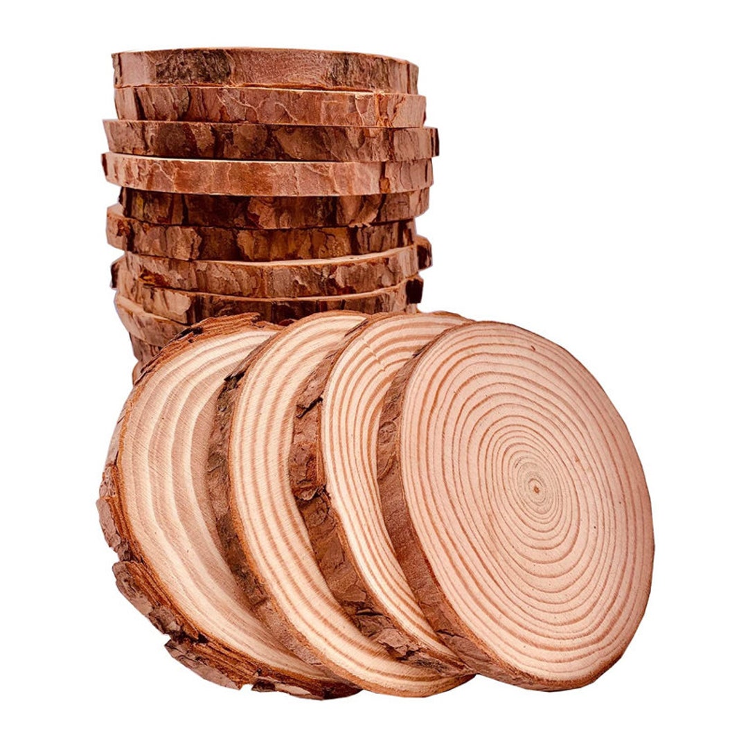  Wood Slices 20 Pcs 3.5-4 Inch Natural Wood Rounds Wooden  Circles for Crafts Christmas Ornaments Unfinished Wood Kit with Predrilled  Hole for DIY Arts Painting Centerpieces