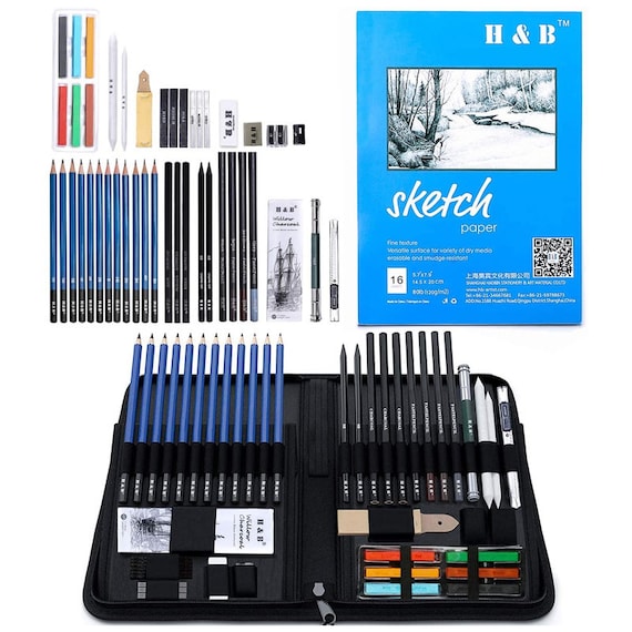 48 Pcs Drawing Pencils Kit,artists Sketching Pencil Set for Adults Kids  Teens Beginner H & B Art Supplies Art Kit Include Charcoal -  Denmark