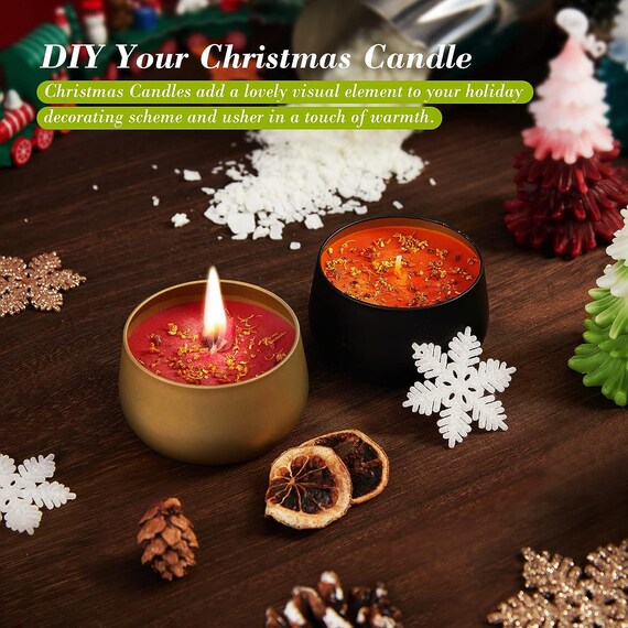 Candle Making Kit with Electronic Hot Plate, DIY Candle Maker