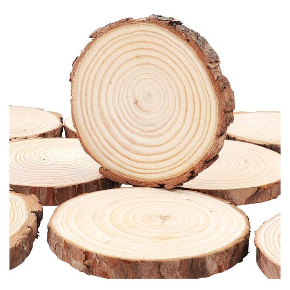 10 Pcs Unfinished Natural Wood Slices - Circles Crafts Christmas Ornaments  Rustic DIY Crafts with Bark 
