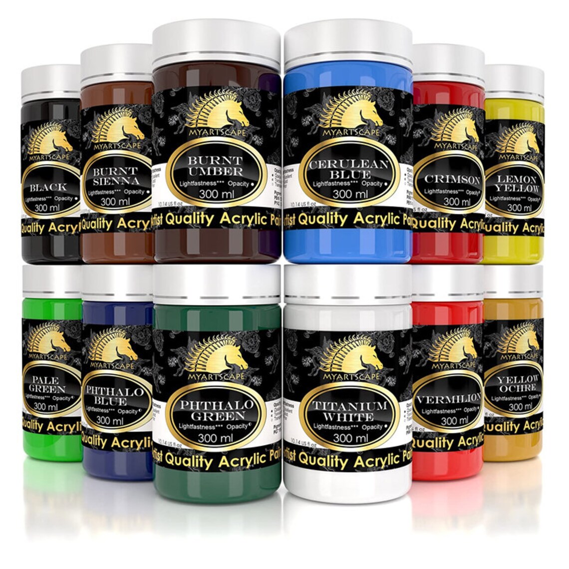 Acrylic Paint Set 12 x 300ml Bottles Lightfast Heavy Etsy