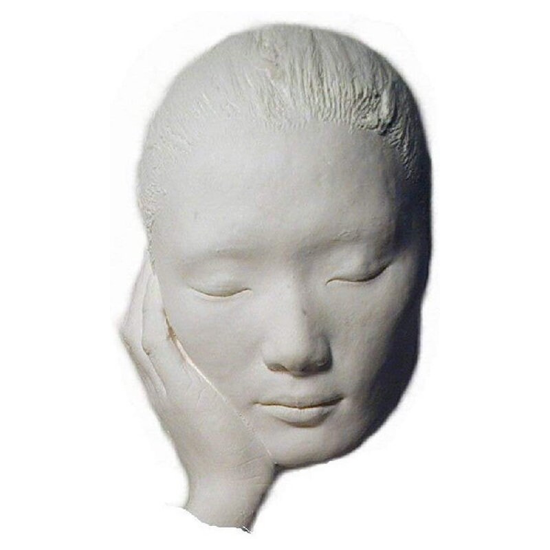 Face Casting Kit by Artmolds Safe to Use Hypoallergenic Etsy UK