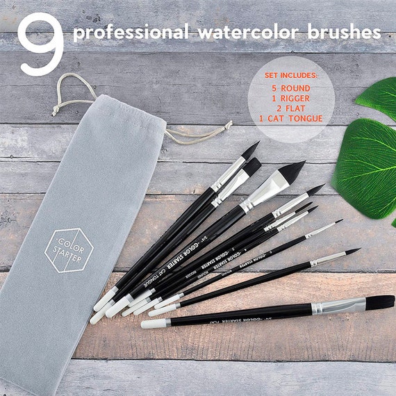 Color Starter Watercolor Paint Brush Set 9 Pc Professional 