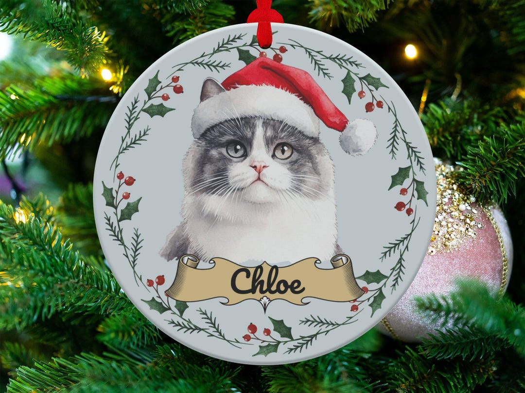 Personalized Persian Cat Christmas Ornament, Custom Pet Ornament - Etsy