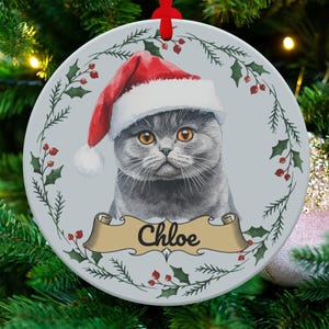 Chartreux Custom Name Cat Ornament, Personalized Cat Name Christmas Ornament, Unique Pet Holiday Decoration Gift Idea