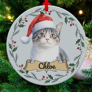 Tabby Cat Custom Name Ornament, Personalized Cat Ornament for Christmas, Cute Cat Decoration, Unique Cat Lover Gift, Holiday Ornament