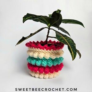 May include: A crocheted plant pot with a ruffled top and a layered design in cream, teal, and pink. The pot is filled with a green plant with large leaves.
