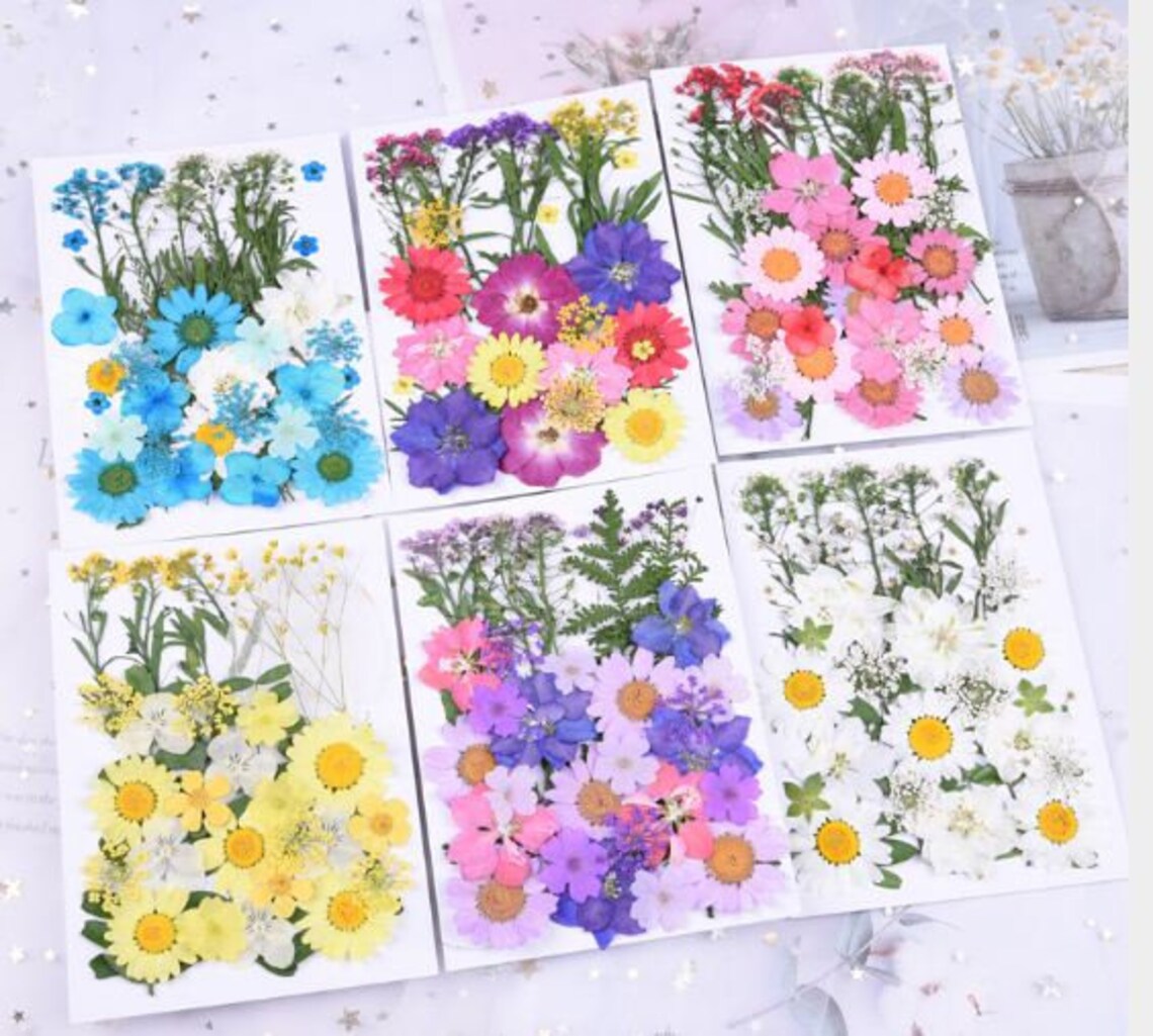 Pressed Dried Flower for Resin Mold Filler Real Flower for Etsy