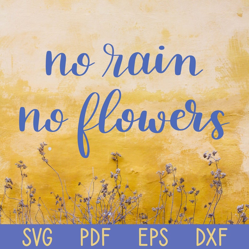 No Rain No Flowers SVG Digital Download Cute Shirt Design Etsy